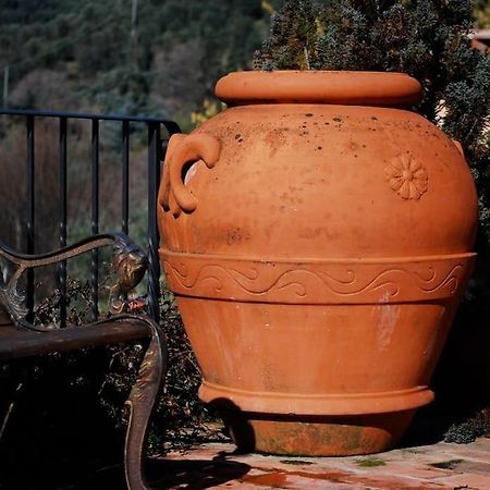 Conca Di Sopra Home Corsanico-Bargecchia 외부 사진