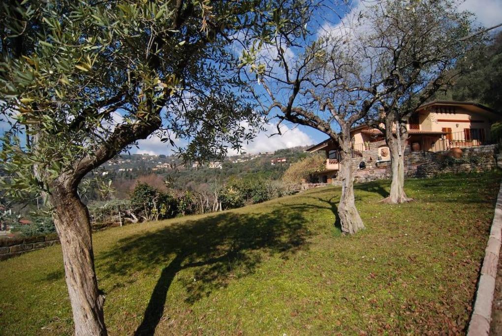 Conca Di Sopra Home Corsanico-Bargecchia 외부 사진