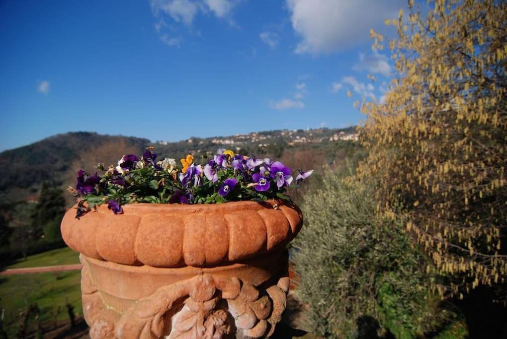 Conca Di Sopra Home Corsanico-Bargecchia 외부 사진