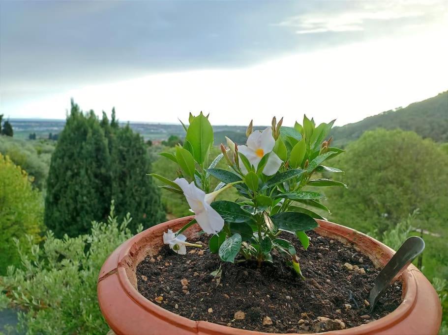 Conca Di Sopra Home Corsanico-Bargecchia 외부 사진