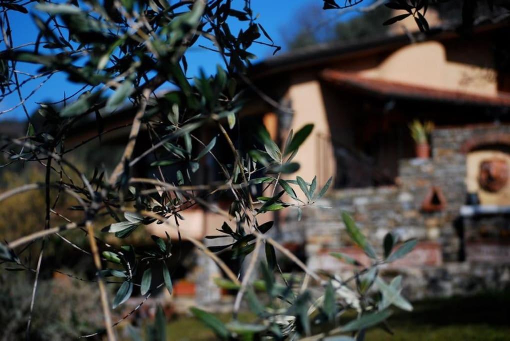 Conca Di Sopra Home Corsanico-Bargecchia 외부 사진